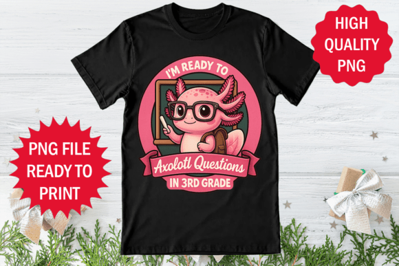 Ready to Question in 3rd Grade Student